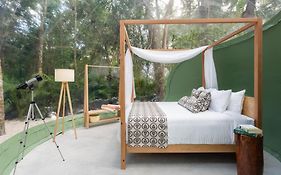 Oom Bubble Boutique Riviera Cancun - Adults Only